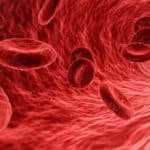 Nabelschnurblut mit Stammzellen: blut, zellen, rot