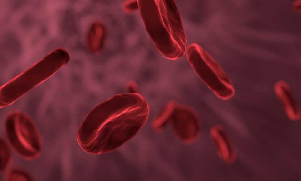 Nabelschnurblut mit roten Blutkörperche: rote blutkörperchen, mikrobiologie, biologie