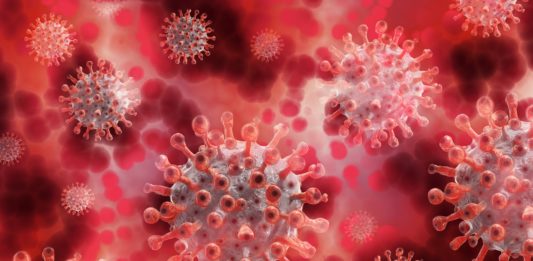 corona, coronavirus, virus