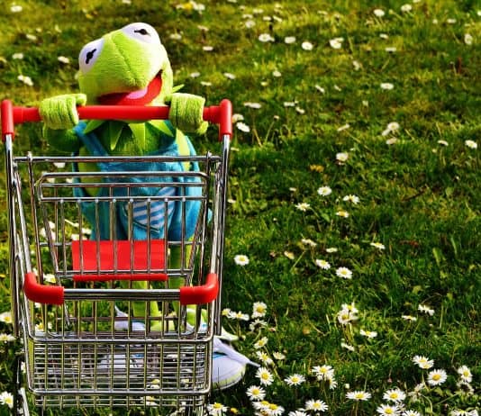 Kermit Frosch Einkaufen Einkaufswagen Spaß