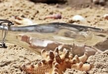 Brief eines Neugeborenen an seine Eltern Flaschenpost Flasche Post Strand Sand Glasflasche