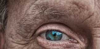 Haut Auge Iris Blau Älter Falten Faltige Haut