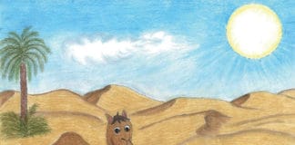 SINDBAD – die Geschichte vom Kamel-Jungen aus Oman