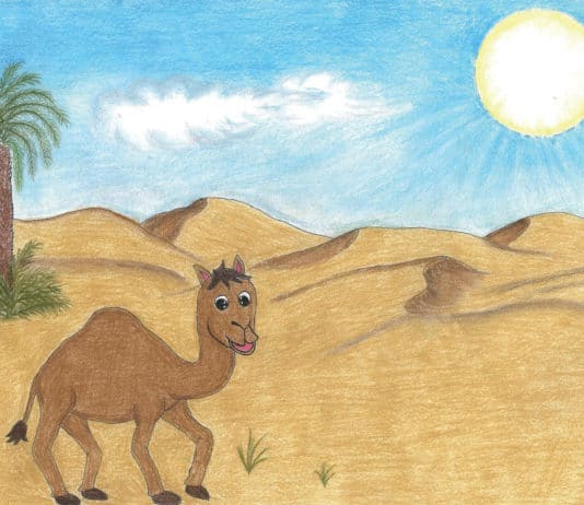 SINDBAD – die Geschichte vom Kamel-Jungen aus Oman SINDBAD – die Geschichte vom Kamel-Jungen aus Oman