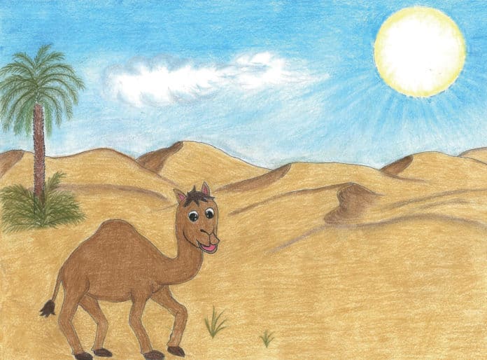 SINDBAD – die Geschichte vom Kamel-Jungen aus Oman