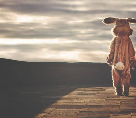 Ostern – mehr als Schokohase und bunte Eier kaninchen hase kostüm tier ostern skurrilen