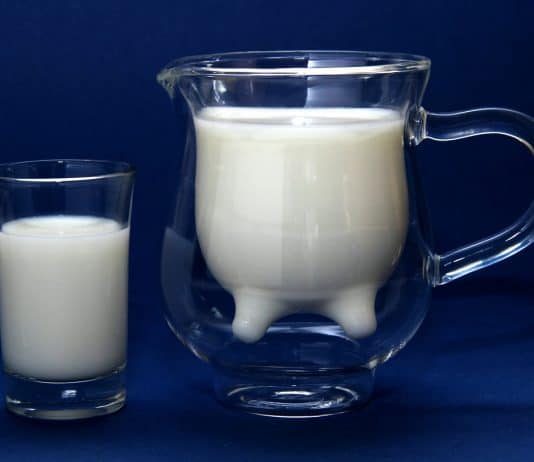 milch glas lecker trinken frisch gesund nahrung