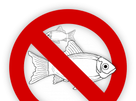 fisch allergien lebensmittel keine fischerei symbol