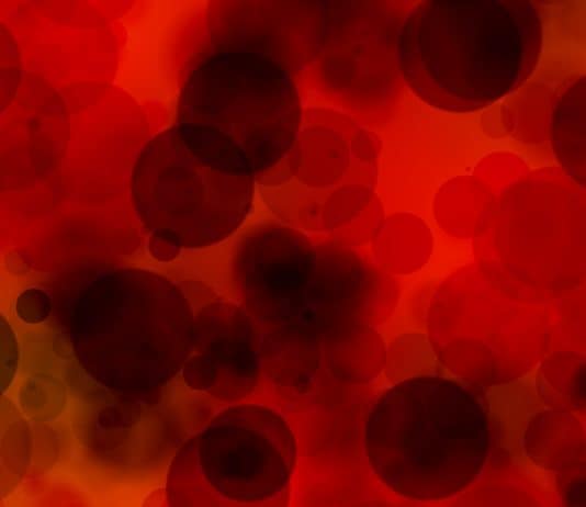 plasma, blut, blutzellen