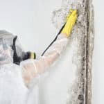 A professional disinfector in overalls processes the walls from mold. Removal of black fungus in the apartment and house. Aspergillus