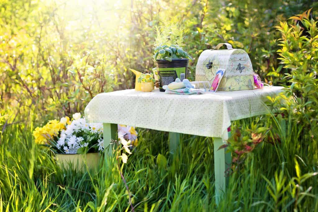 How to Throw the Perfect Birthday Picnic: Photo by JillWellington on Pixabay