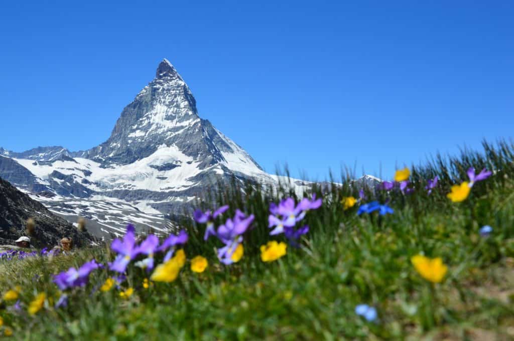 Swiss health tourism, berge, schnee, blumen, Wie funktioniert die Schweiz beim Gesundheitstourismus?