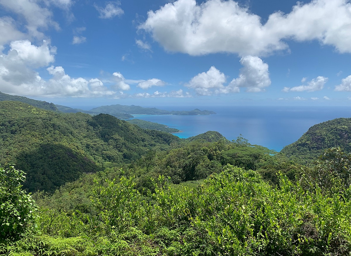 Blick vom Queen Elisabeth Lookout auf den Morne Seychellen Nationalpark