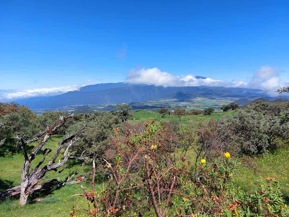 Blick auf das Bergmassiv des Piton des Neiges im Zentrum von La Réunion