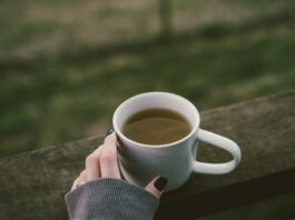 Frauenmantel bei Kinderwunsch: Was du wissen solltest Photo Herbal tea