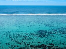 Photo Tahiti Beach