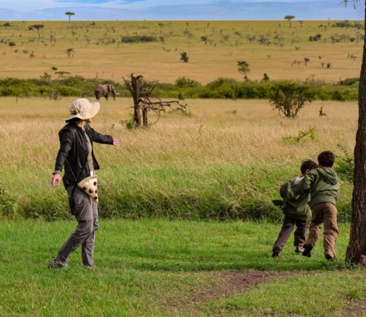 Top 20 Sehenswürdigkeiten von Gabun für den Familienurlaub Photo Family Safari