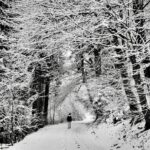 Familienurlaub in Deutschland: Die besten Reiseziele für dich Photo Black Forest