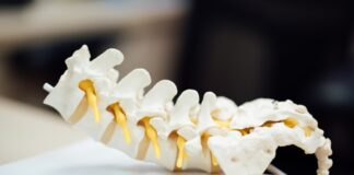 Photo Medical diagram