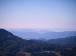 Photo Black Forest