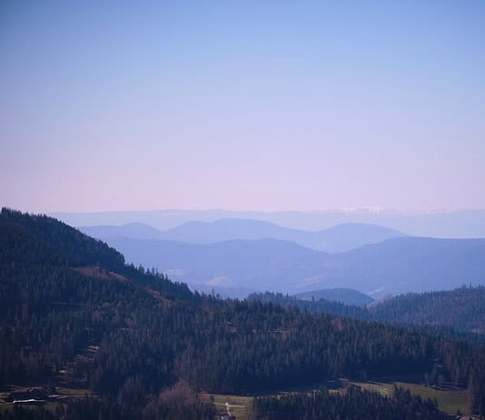 Photo Black Forest