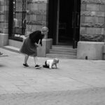 Ab wann krabbeln Babys: Alles, was du wissen musst