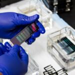 Alles, was du über In-vitro-Fertilisation (IVF) wissen musst Photo IVF lab