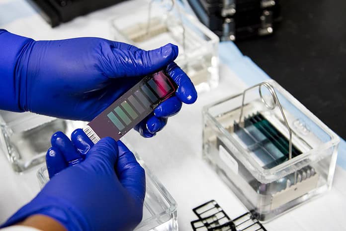 Photo IVF lab