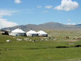 Top 20 Sehenswürdigkeiten von Mongolei für den Familienurlaub Photo Mongolian yurt