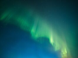 Top 20 Sehenswürdigkeiten von Grönland für den Familienurlaub Photo Northern Lights