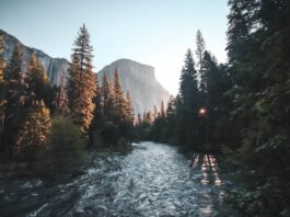 Photo Dunns River Falls
