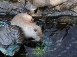 Top 20 Sehenswürdigkeiten von Pakistan für den Familienurlaub Photo Beautiful landscapes