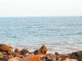 Photo Beach fun