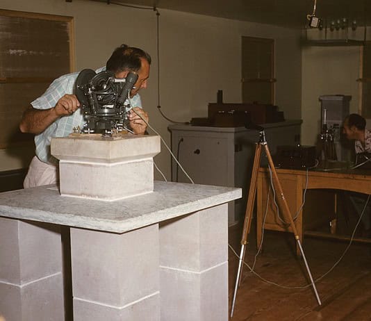 Photo Embryo development