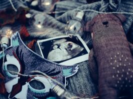 8. ssw. Einfach alles, was Du über die 8. Schwangerschaftswoche wissen musst. Photo Ultrasound scan