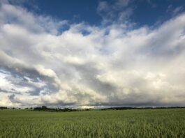 Photo Kazakh Steppe