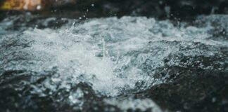 Kryokonservierung: Wie du deine Zellen für die Zukunft bewahrst Photo Liquid nitrogen