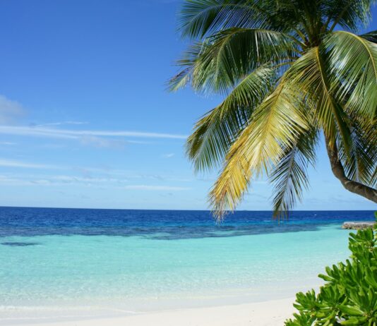 Photo Family at Togo Beach