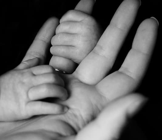 15. ssw. Einfach alles, was Du über die 15. Schwangerschaftswoche wissen musst. Photo Baby ultrasound