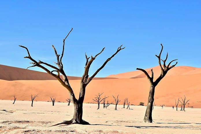Photo Qatari desert