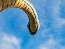 Top 20 Sehenswürdigkeiten von Korea, Republik für den Familienurlaub Photo Family at amusement park