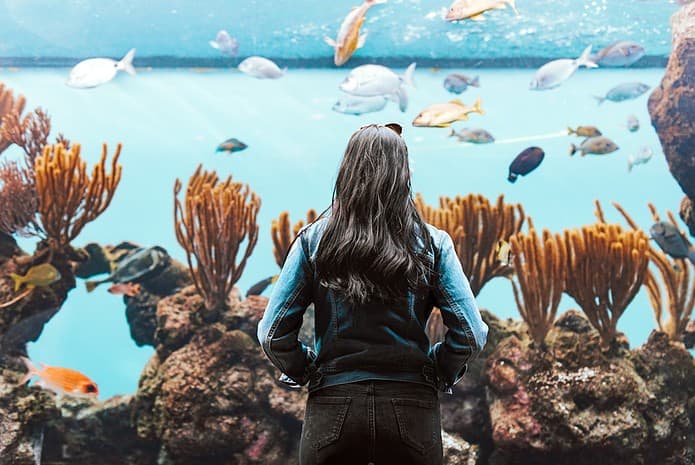 Photo Bermuda Aquarium