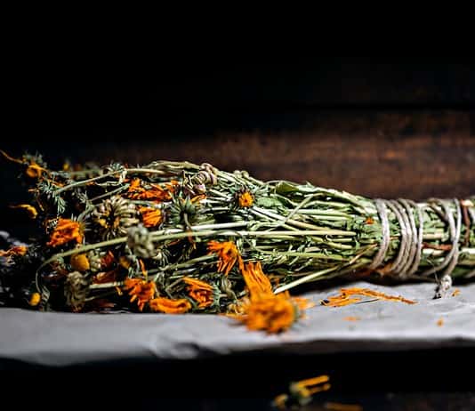 Photo Homeopathic remedies