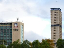 Studiumsgebühren in Deutschland: Was du wissen musst Photo University campus