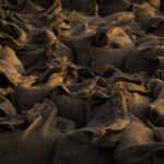 Photo Cultural exchange