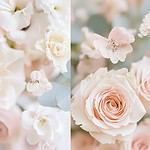 USP_image-b0fi8