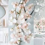USP_image-fhqqs