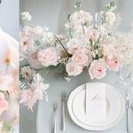 USP_image-ifadfh