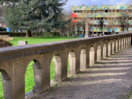 Studieren auf Englisch in Deutschland: Meine Erfahrungen Photo University campus