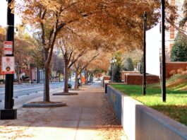 Photo University campus